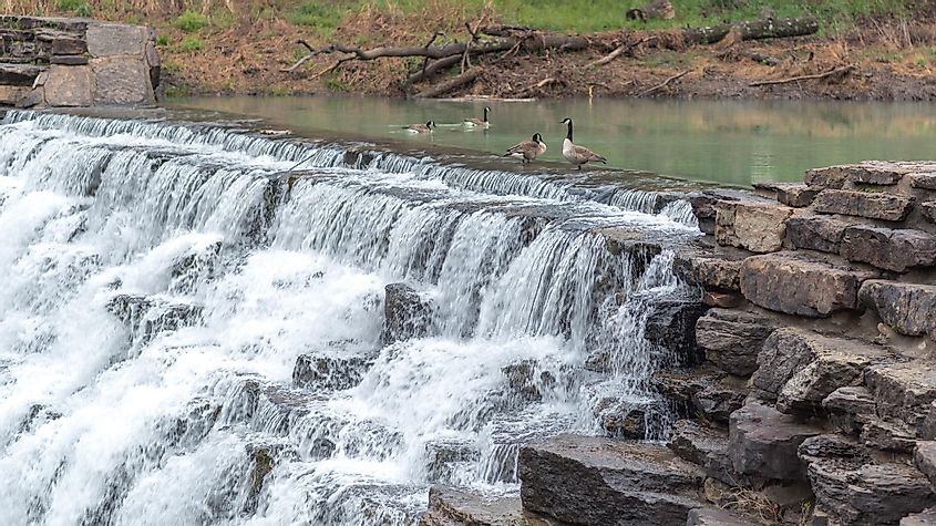 Geese play in Lee Creek as it spills acrtoss Lee Creek Dam, at Devil's Den State Park, in Arkansas.