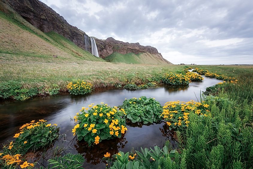 Selkalandsfoss