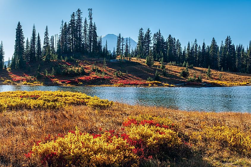 Fall colors at Tipsoo Lake in Mount Rainier National Park, Washington