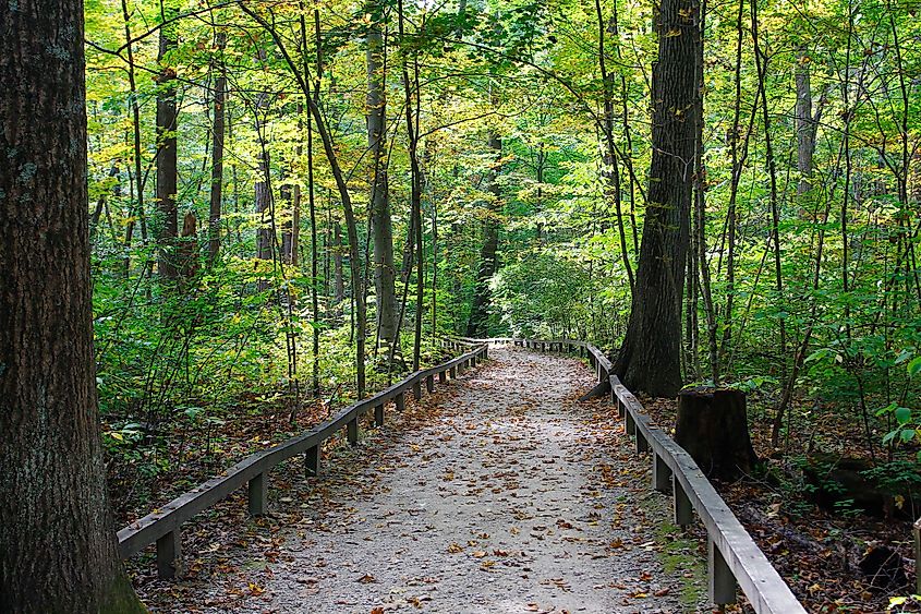 Inniswood Metro Gardens, Westerville, Ohio.