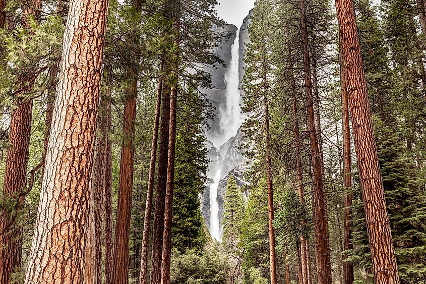 Yosemite Falls