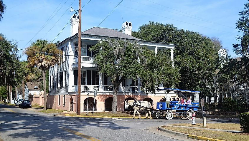 Horse and carriage in downtown Beaufort, North Carolina