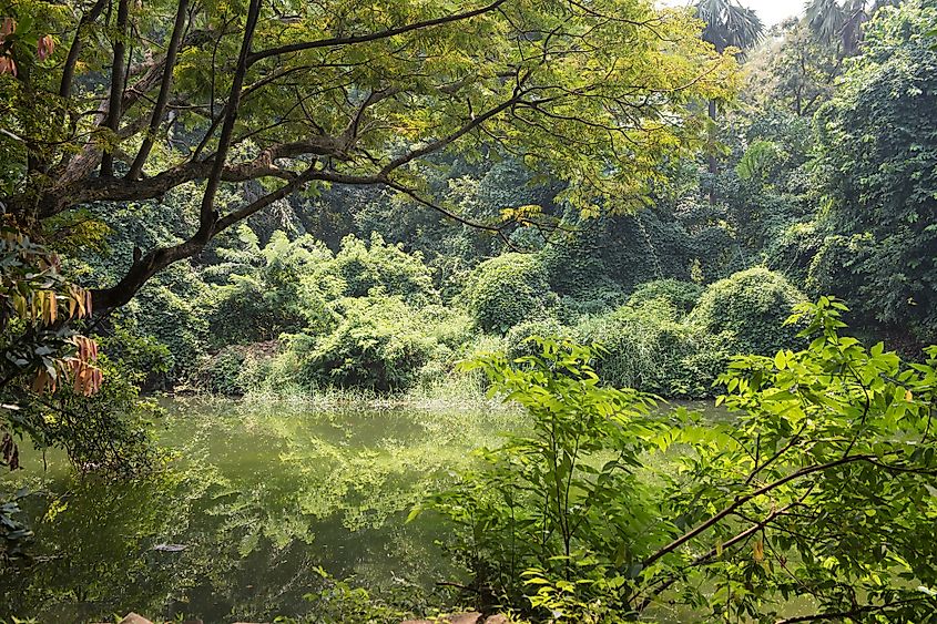 sanjay gandhi national park case study