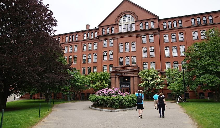 Harvard University, Museum of Natural History, Cambridge