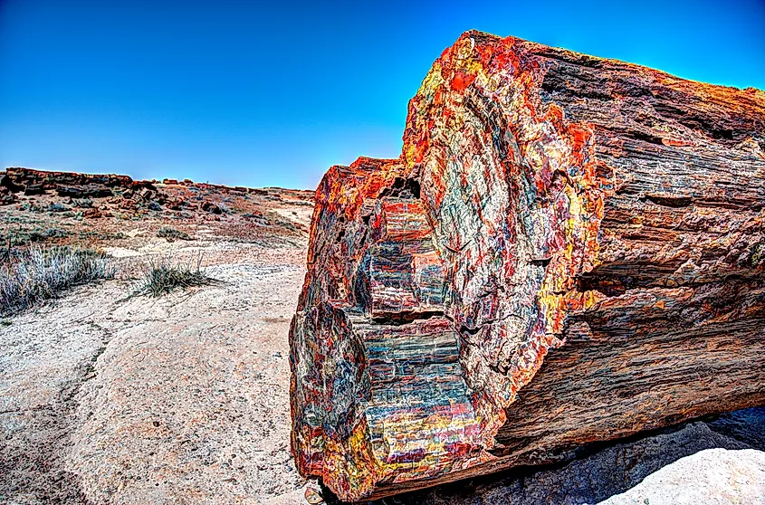 Colorful petrified logs and badlands at Petrified Forest National Park in Arizona.