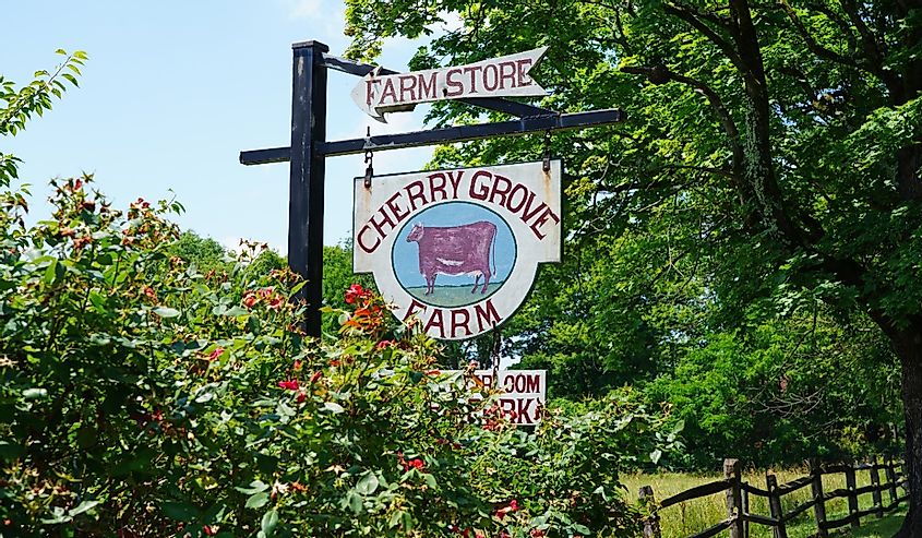 View of Cherry Grove Farm, a farmstead creamery making cheese in Lawrenceville, New Jersey, United States.