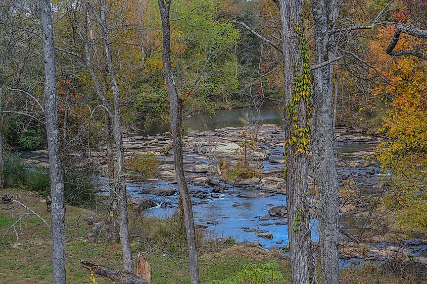 Ogeechee River