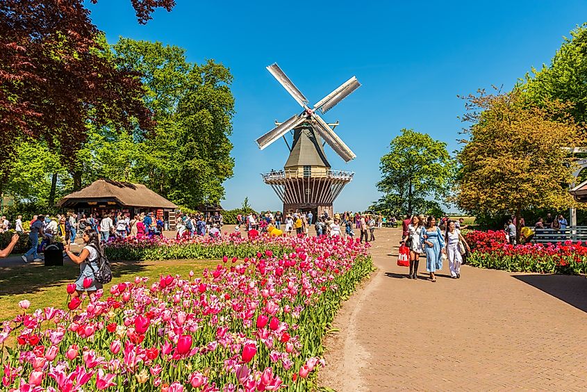 Keukenhof Gardens in Lisse, Netherlands.
