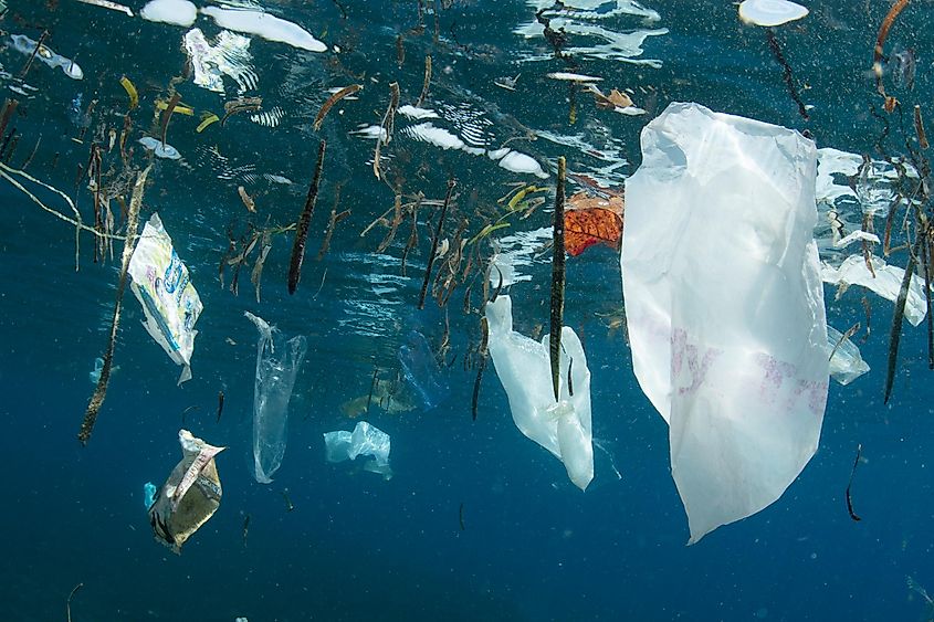 Plastic garbage floating in ocean water, an underwater view illustrating the visible component of the broader marine plastic pollution problem.