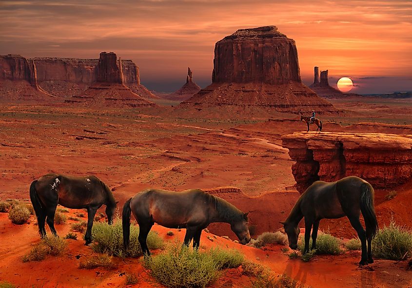 Horses at John Ford's Point Overlook in Monument Valley Tribal Park, Arizona USA