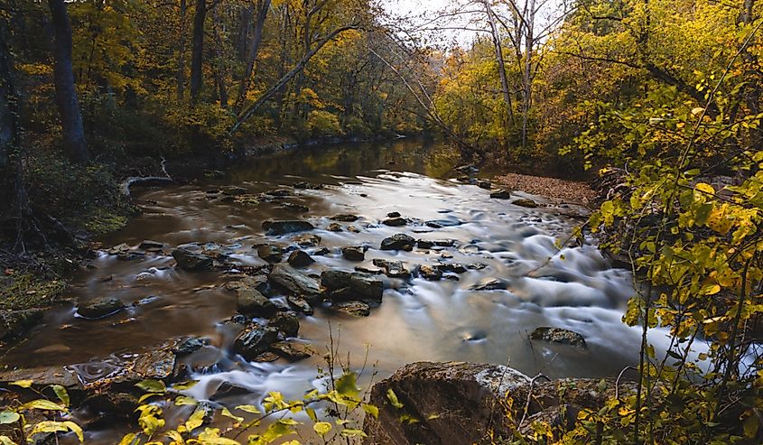 White Clay Creek State Park in Newark, Delaware.