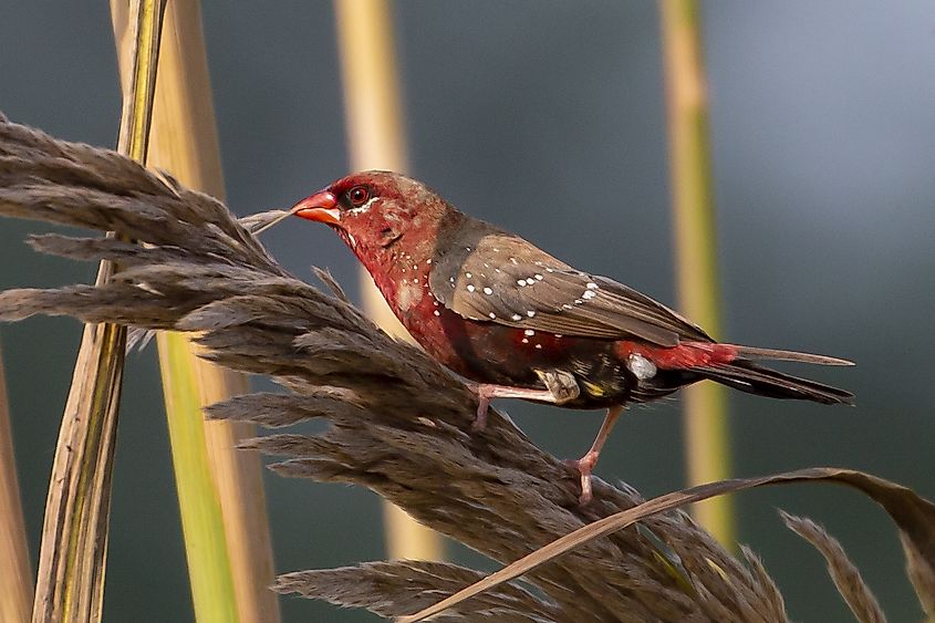 Sultanpur National Park