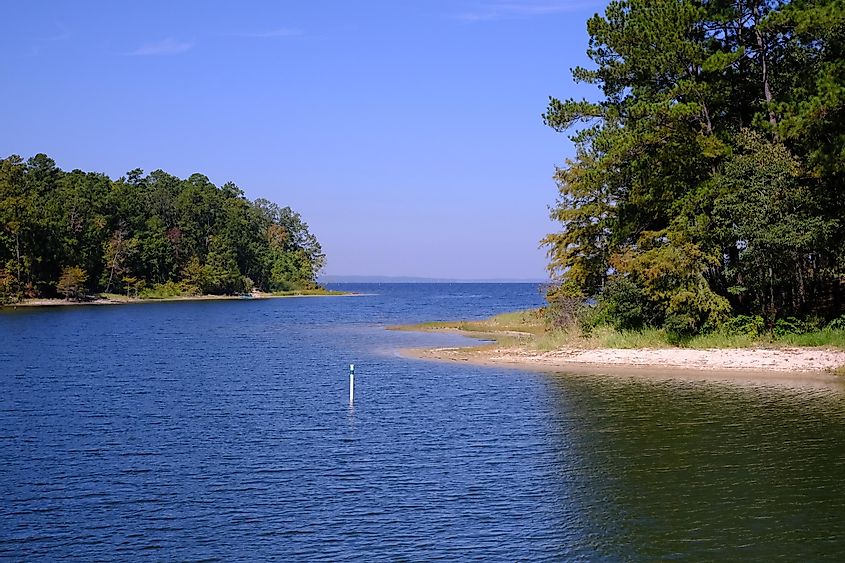 View of the Toledo Bend Reservoir from South Toledo Bend State Park in Anacoco, Louisiana