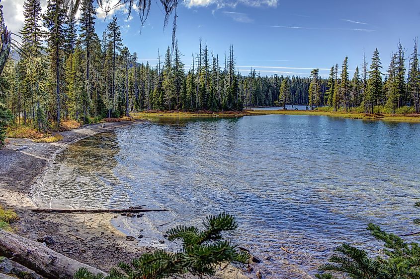 Crystal clear waters of Waldo Lake, Oregon