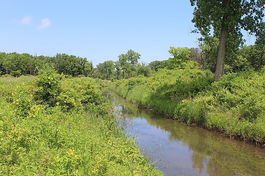 Middlefork Savanna Forest Preserve in Lake Forest, Illinois