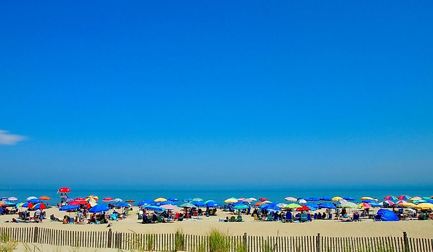 Summer day on Rehoboth Beach showing people, umbrellas and coast