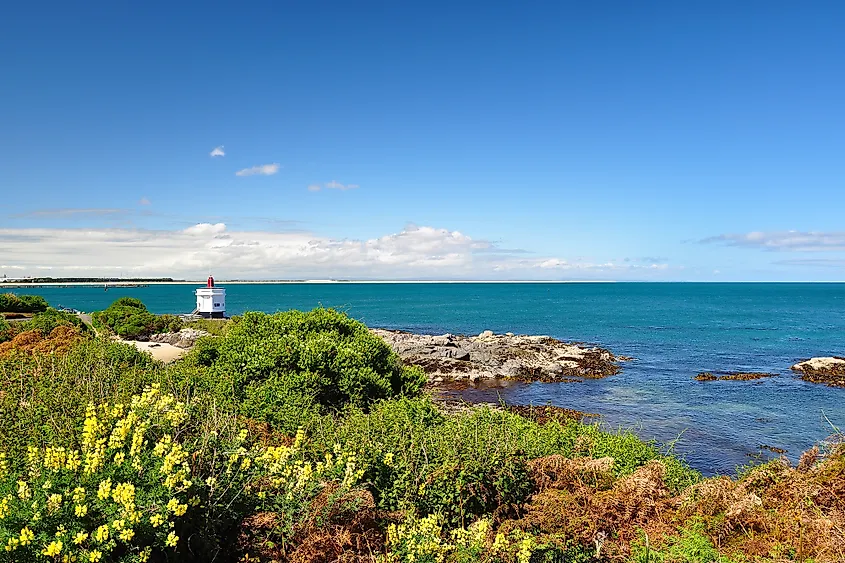 Bluff, New Zealand