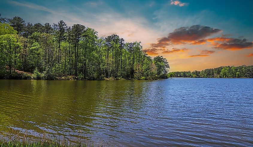 A gorgeous silky green rippling lake surrounded by lush green trees, grass and plants with a gorgeous powerful clouds at sunset at Callaway Gardens in Pine Mountain Georgia