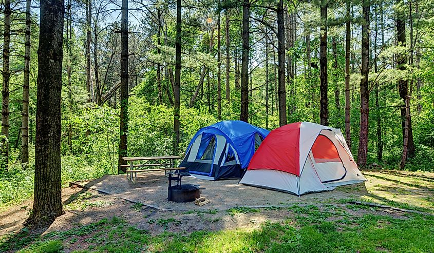 Tent camping in the white pine forest at Maquoketa Caves State Park, Iowa