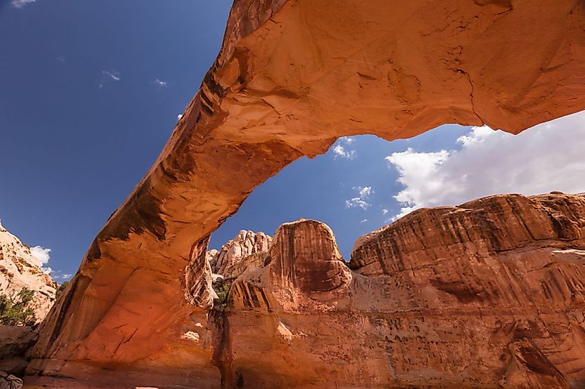 Capitol Reef National Park is in Utah's south-central desert.