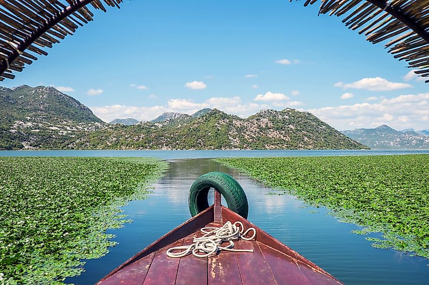 Boating on the beautiful Skadar Lake in Lake Skadar National Park in Montenegro.