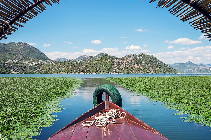 Boating on the beautiful Skadar Lake in Lake Skadar National Park in Montenegro. 