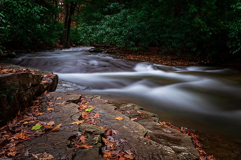 A flowing stream in the Linn Run State Park.