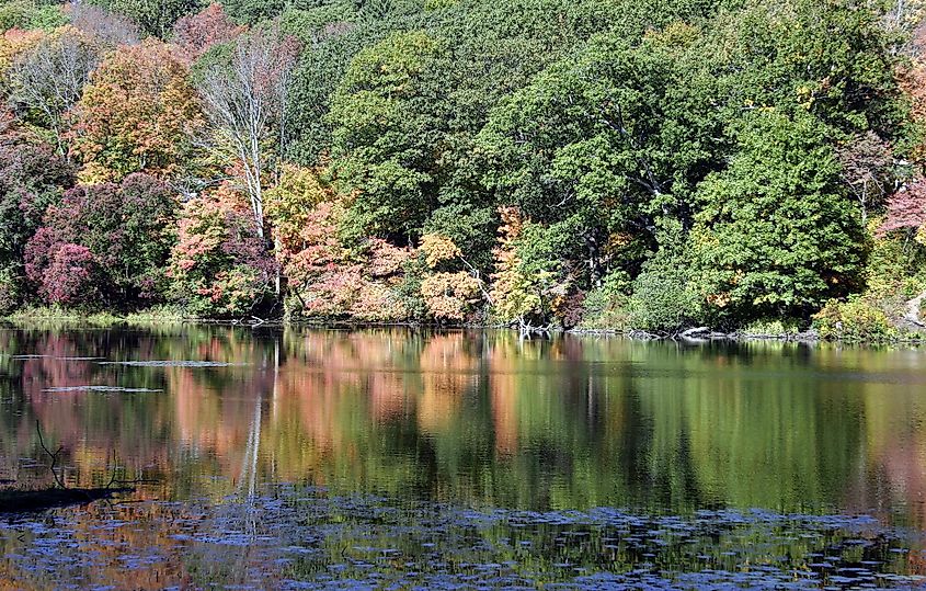 Fall foliage along the CT river in Chester. 