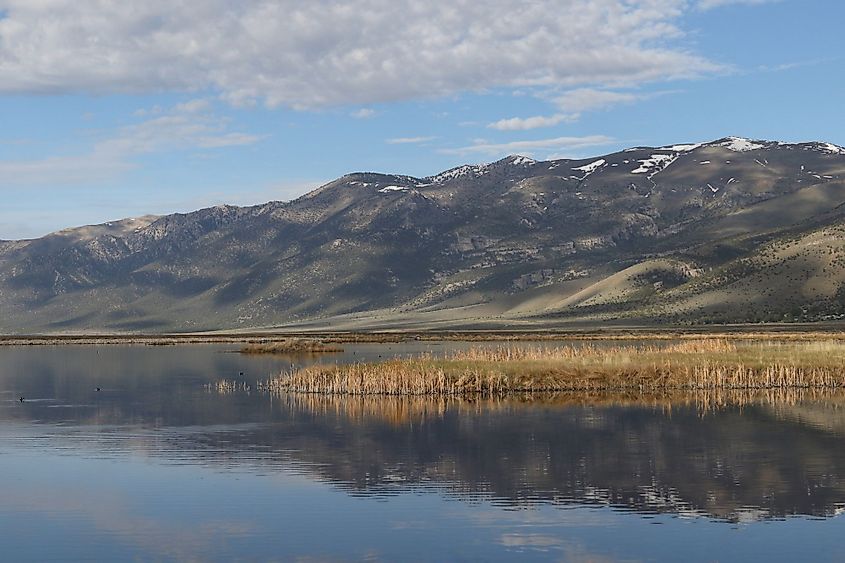 Ruby Lake National Wildlife Refuge, Nevada