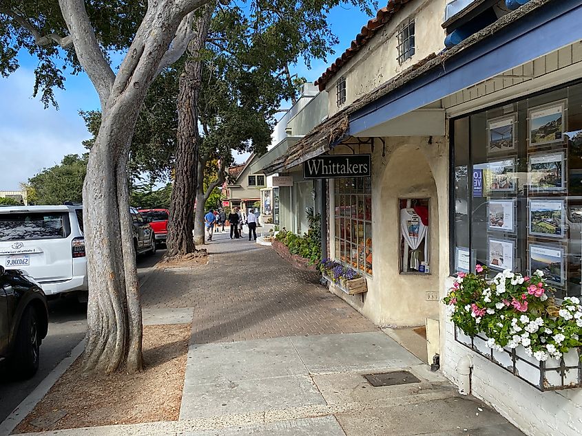 A sunny sidewalk lined with flower pots and nice shops.