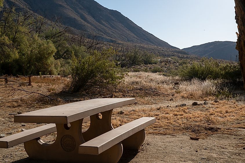 Anza Borrego State Park bench campground.  