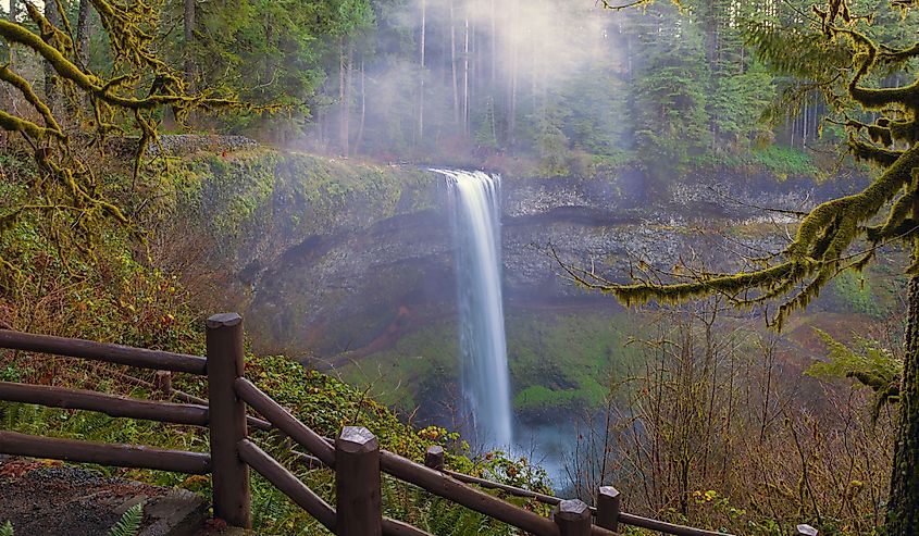 Hiking trails to South Falls at Silver Falls State Park on a foggy day