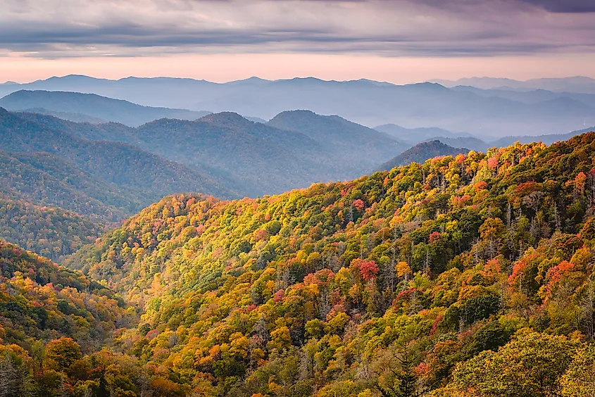 Great Smoky Mountains National Park in autumn.