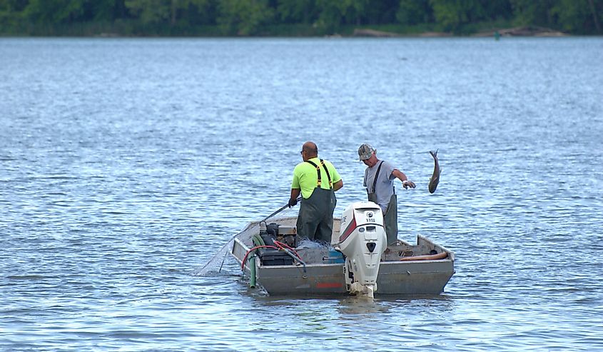 Two men in a boat on the Illinois River are fishing with nets.