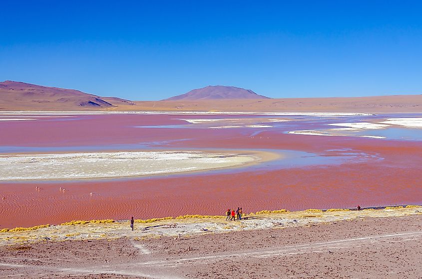 Laguna Colorada