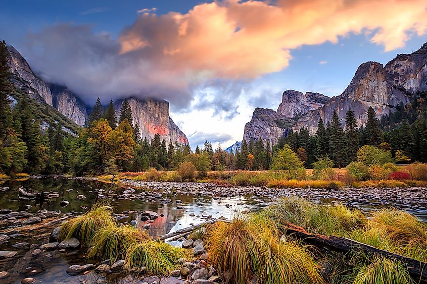 Fall colors in the Yosemite National Park.