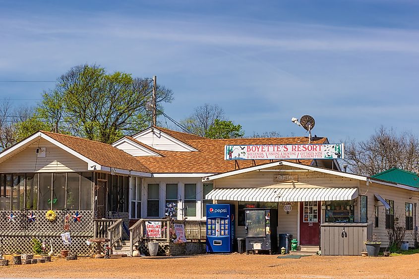 Tiptonville, Tennessee (Credit: Dee Browning via Shutterstock)