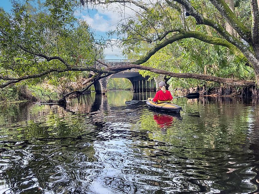 Kayaking on the Loxahatchee River, Florida.