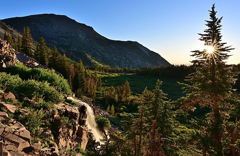 Humboldt-Toiyabe National Forest, Nevada