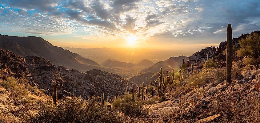 Scottsdale, Arizona: Panorama of the McDowell Sonoran Preserve during a beautiful sunset.
