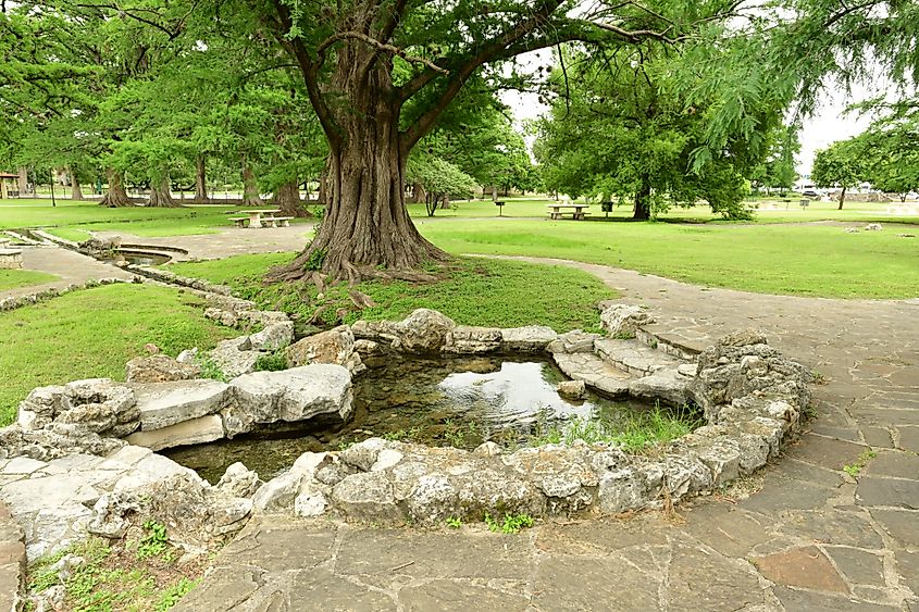 One of several prehistoric springs in San Pedro Springs Park, San Antonio, Texas