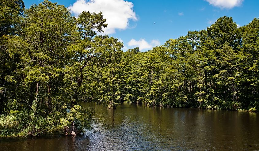 Greenfield Lake Park in Wilmington, North Carolina