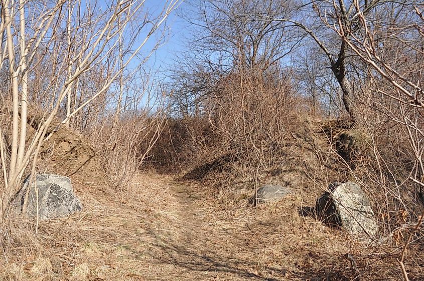 Overgrown earthworks like these are virtually all that remain of Fort Lee in Salem, Massachusetts.