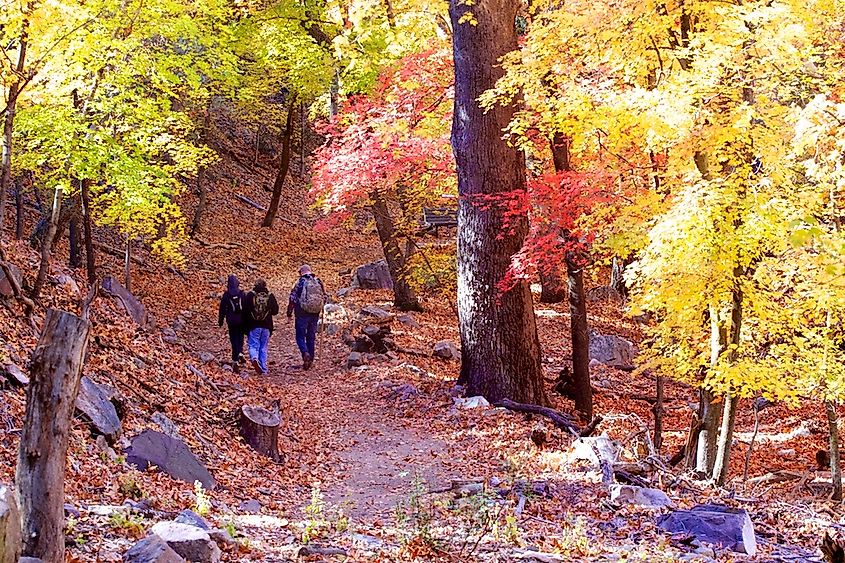 Ramsey Canyon Nature Preserve, in the Huachuca Mountains of Arizona.