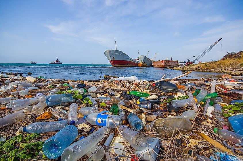 Plastics strewn along the coast in the Panama Canal region. Image credit: Fotos593/Shutterstock.com