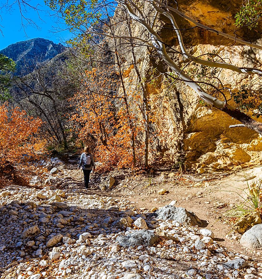 Female Hiker on The McKittrick Canyon Trail, Guadalupe Mountains National Park, Texas, USA.