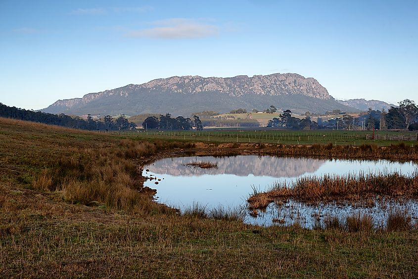 Outdoor landscape near Promised Land, Tasmania.