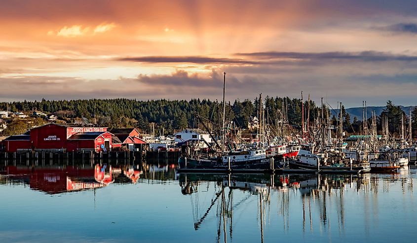  Commercial fishing boats docked at Ilwaco boat basin, Ilwaco.