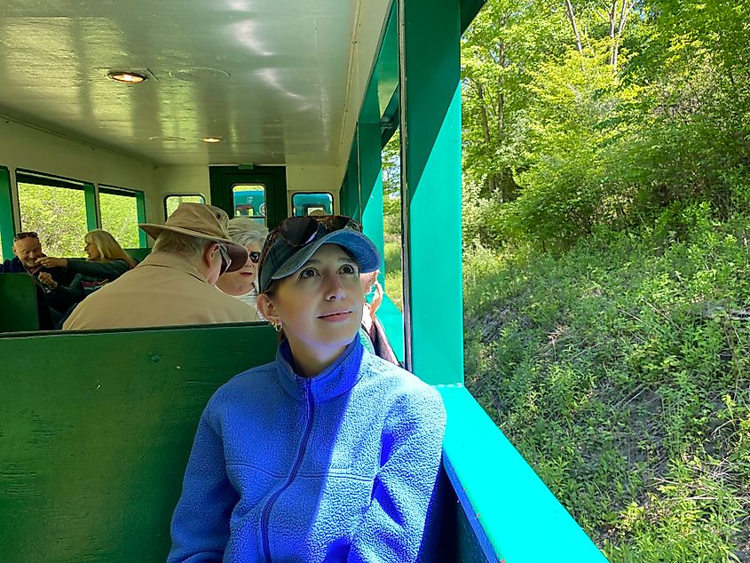 A woman in a blue sweater looks out the window of an open-air train car to the lush surroundings.