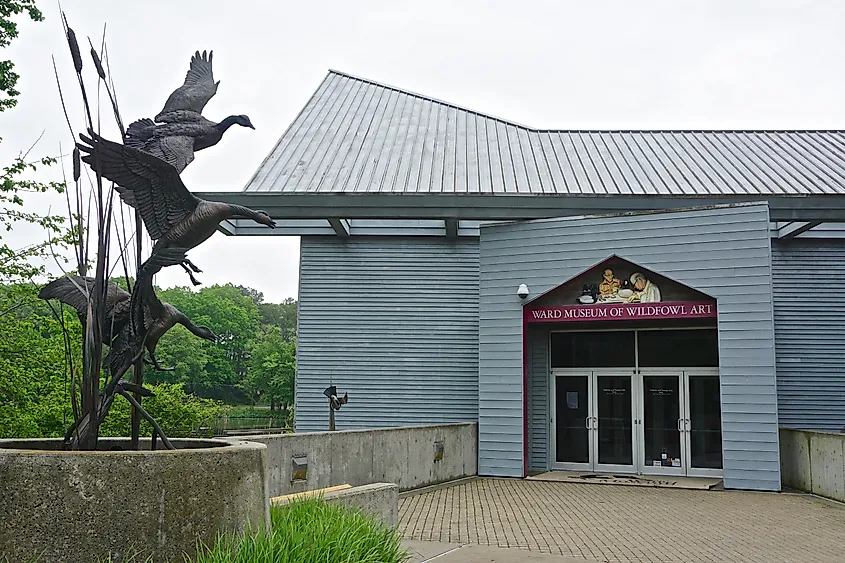 Salisbury, Maryland.